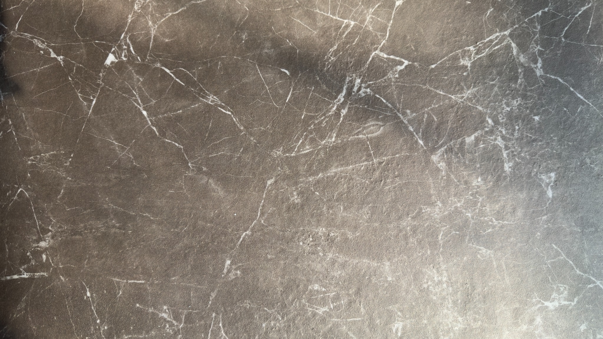 Fine mineral-like texture and pale branching veins